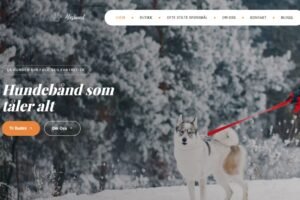 hvordan ÅlesHund bygger merkevare fra Ålesund